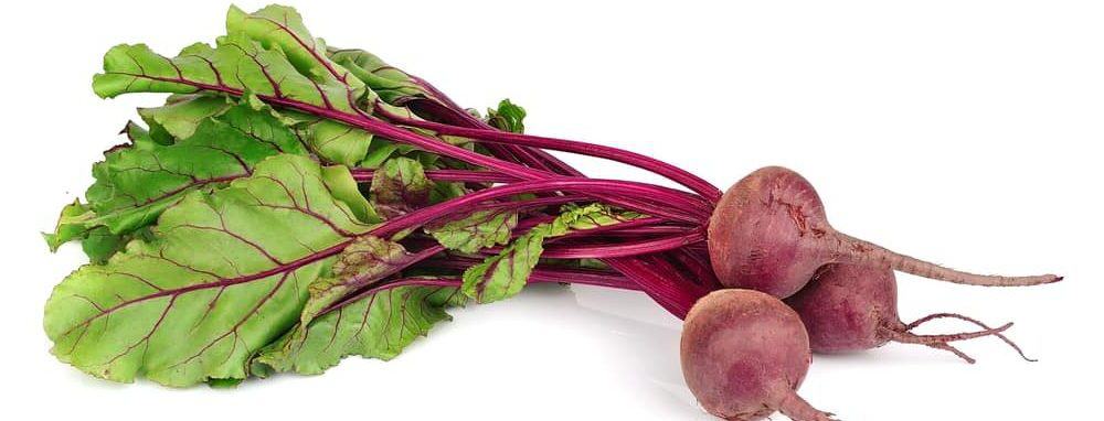 beet greens white background e1590155577776