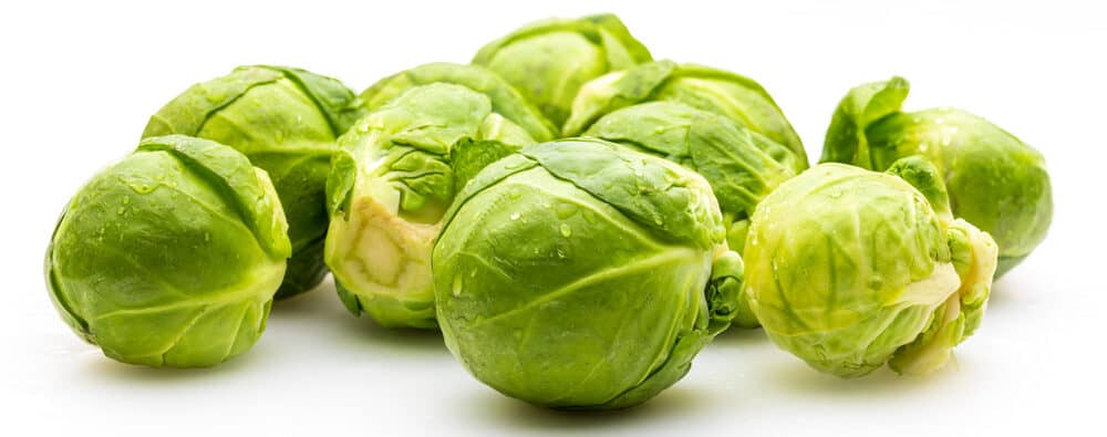 can guinea pigs eat brussel sprout leaves