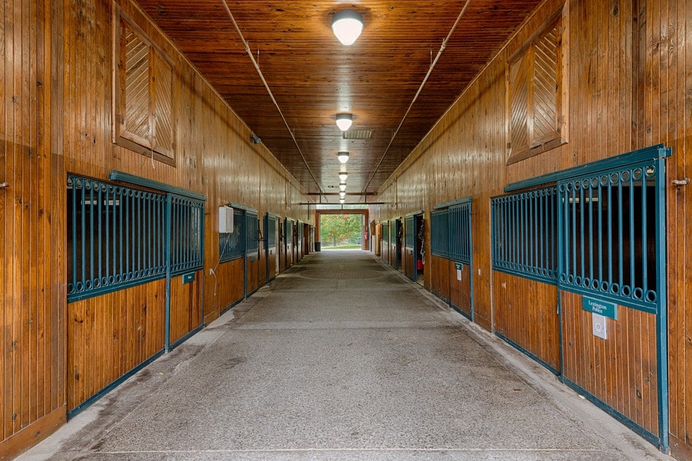 Choosing The Right Floor For Your Horse Stable - Petsoid