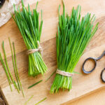 cut wheatgrass