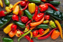 Can Horses Eat Peppers?