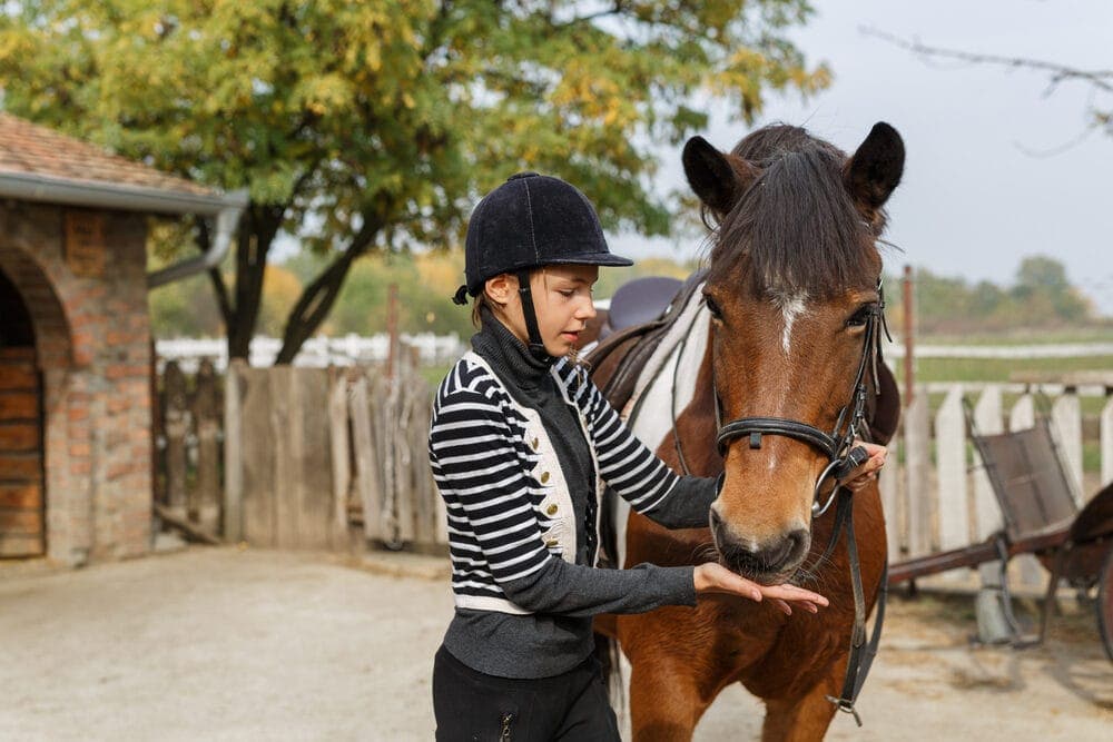 girl feeding horse e1590495727804