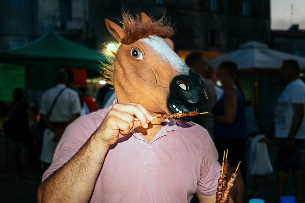 horse eating meat