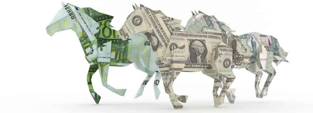 How Much Do a Horse Cost to Own? » Petsoid