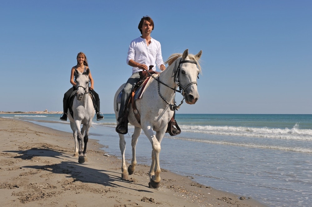 horse ride on a beach