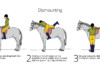 How To Dismount From a Horse?