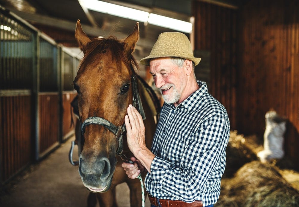 old man with old horse