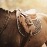saddle on a horse