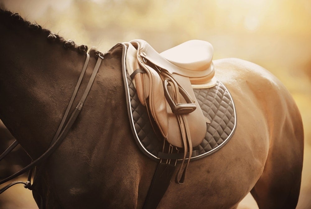 saddle on a horse