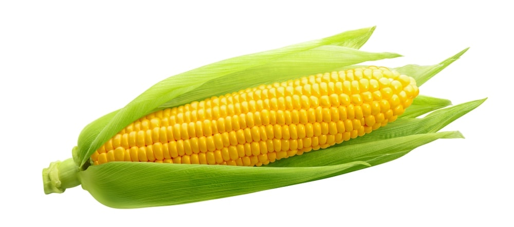 sweet corn