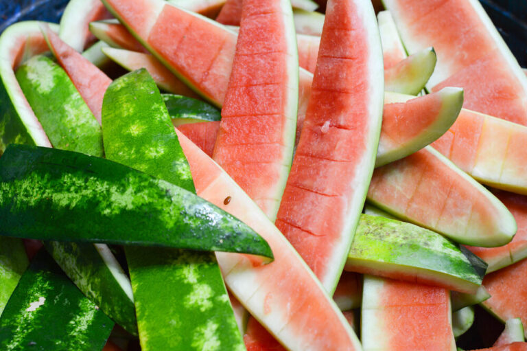 Can Horses Eat Watermelon Rind? » Petsoid