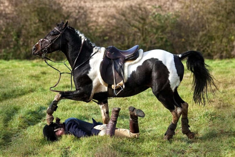 How to Safely Fall Off Your Horse » Petsoid