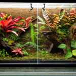 Paludarium Tank wood e1591117236184