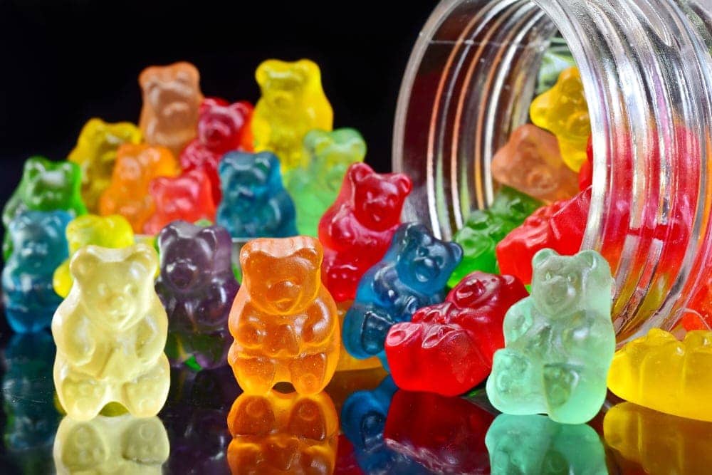 Can dogs eat gummy bears