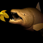 Do Fish Eat Other Fish