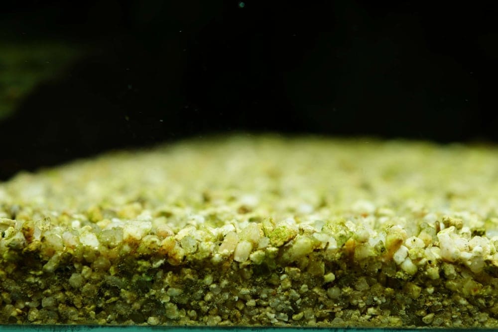 aquarium gravel close up