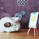 chinchilla the painter